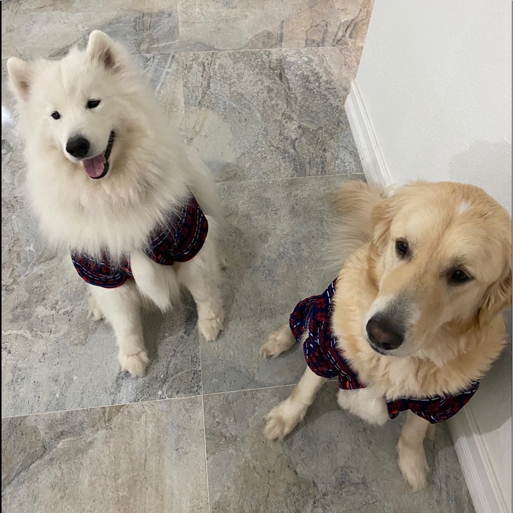 Meet your Posher, Alejandro